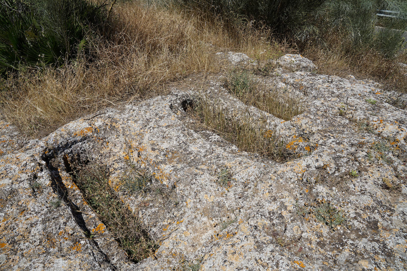 Fotos: Bobastro, el otro caminito del rey, en fotos