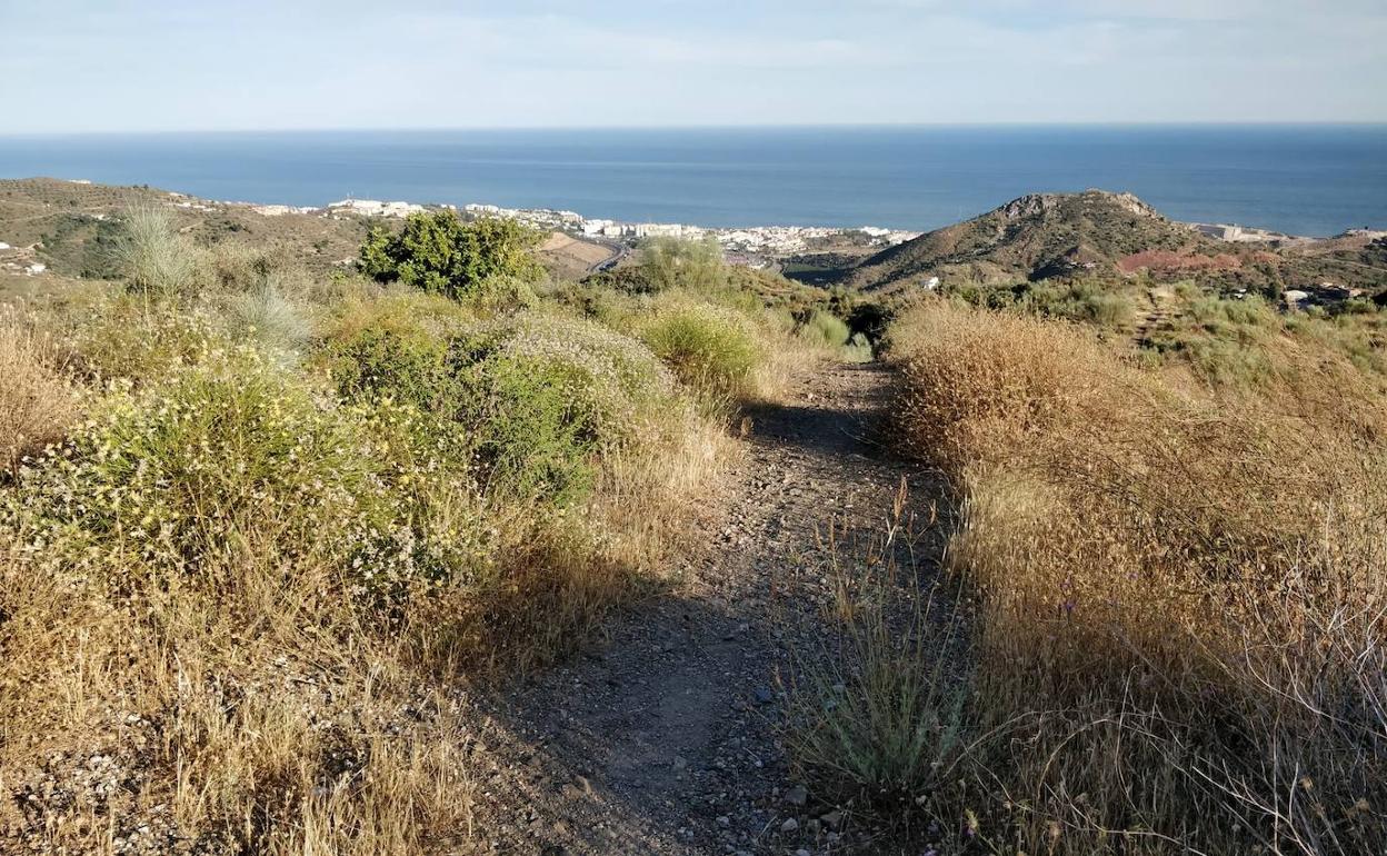 Málaga abre un nuevo sendero de 22 kilómetros entre el Peñón del Cuervo y Olías transitable a pie y en bicicleta