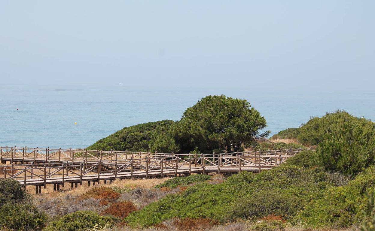Playas y calas para desconectar en la costa malagueña