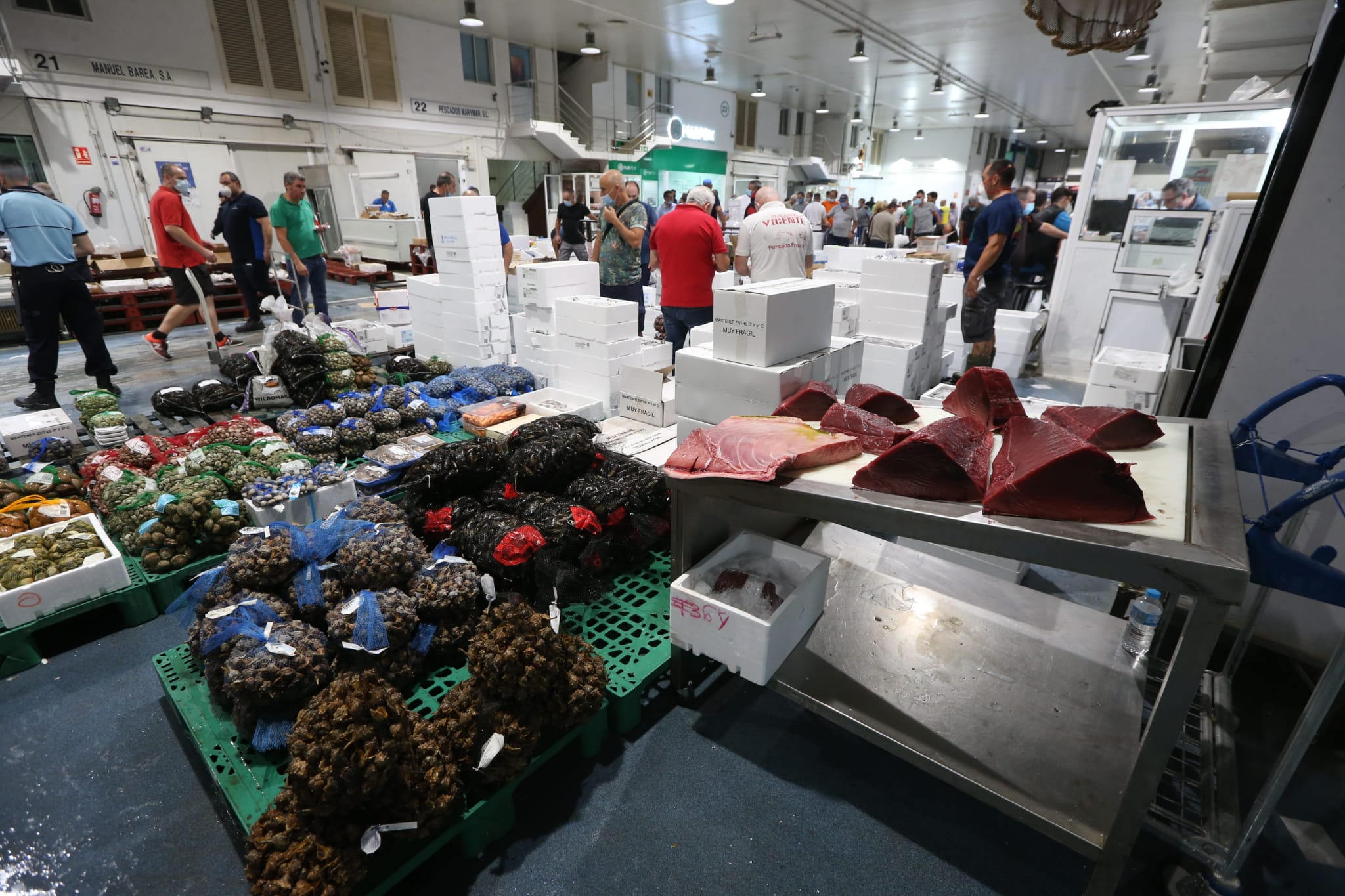 Varios puestos de Mercamálaga, realizan a diario el espectacular despiece de esta especie tan apreciada en el mundo