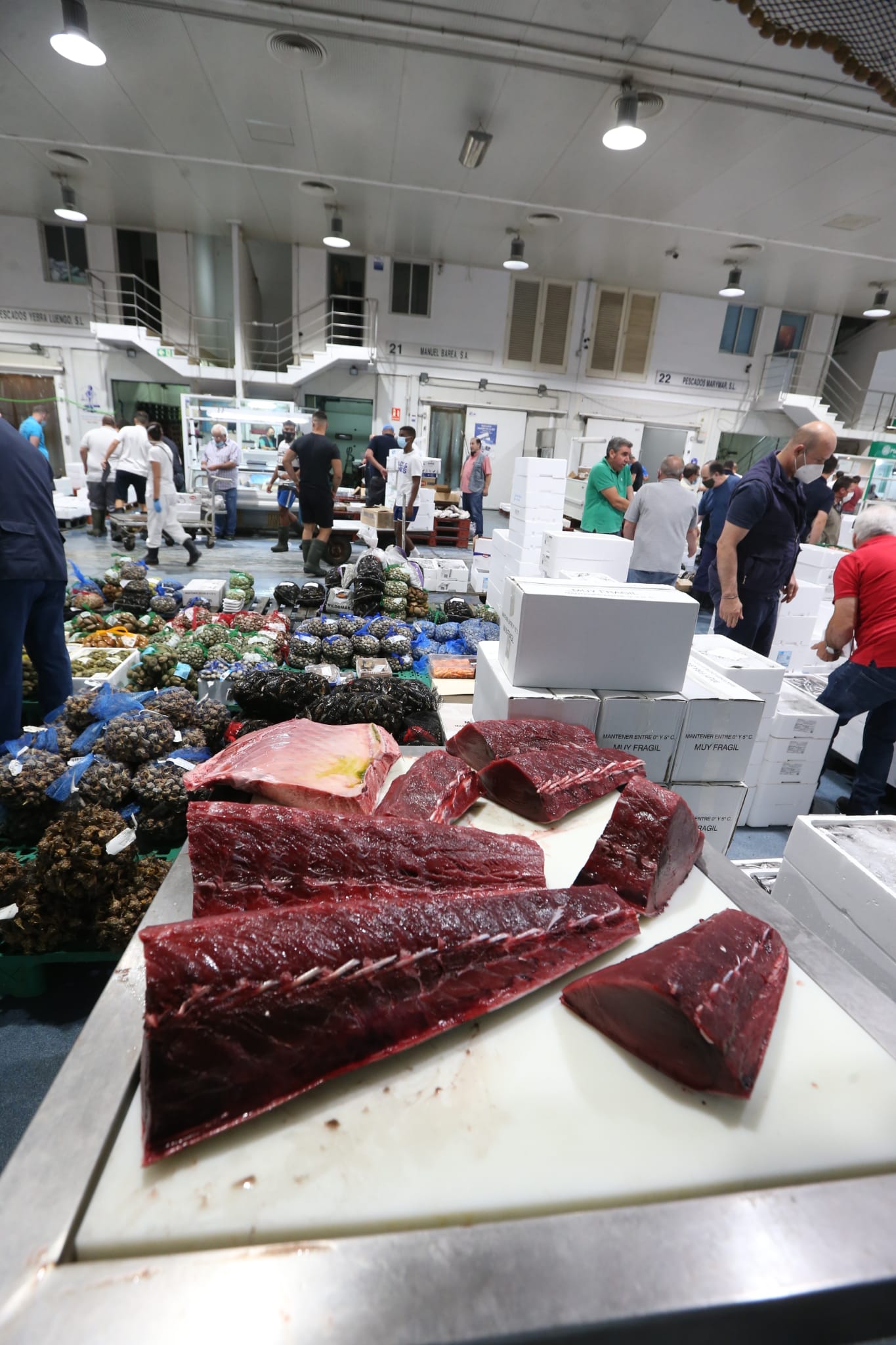 Varios puestos de Mercamálaga, realizan a diario el espectacular despiece de esta especie tan apreciada en el mundo