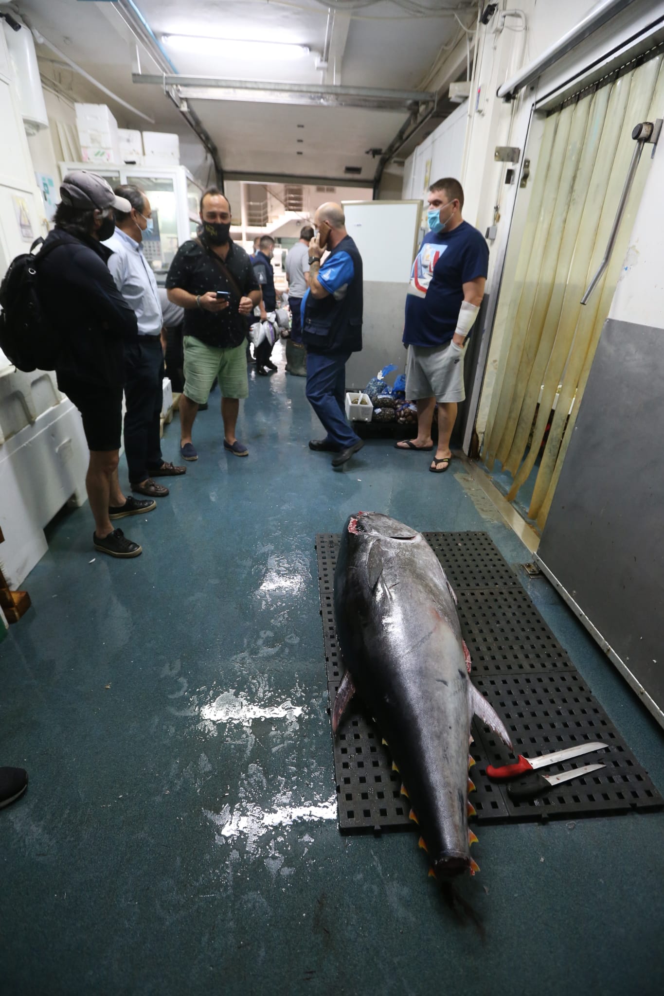 Varios puestos de Mercamálaga, realizan a diario el espectacular despiece de esta especie tan apreciada en el mundo
