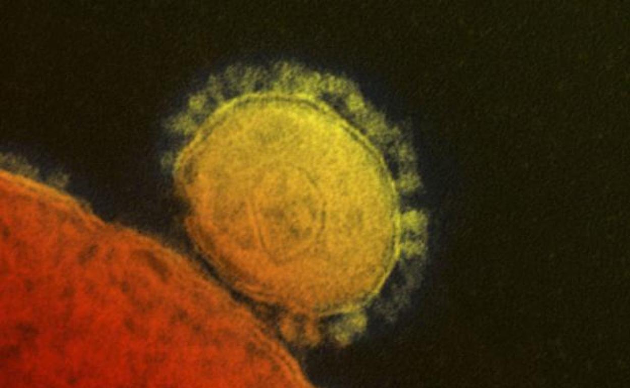 Un estudio apunta que la cepa actual del Covid-19 es una versión más infecciosa que la original