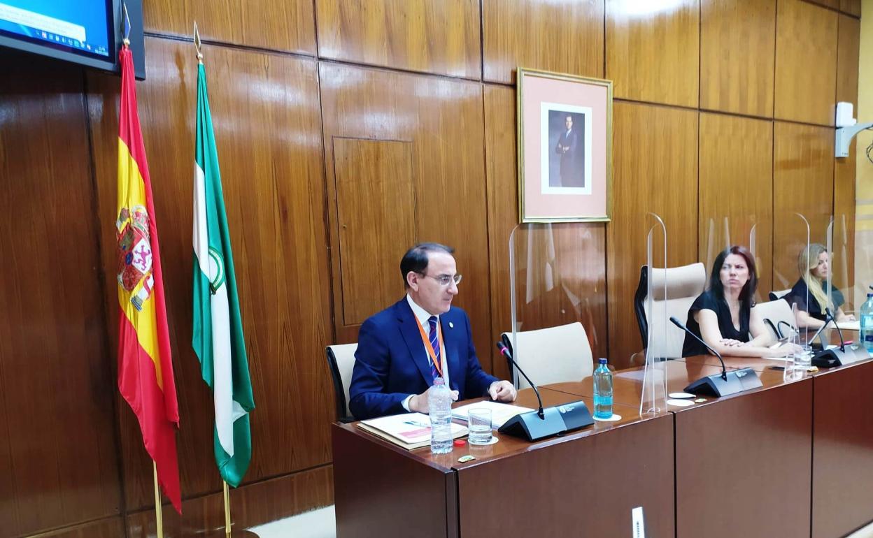 El presidente de la CEA, Javier González de Lara, ayer en la comisión Covid-19 del Parlamento andaluz. 