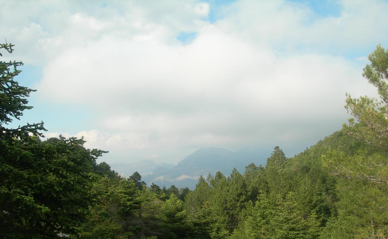 Imagen de la Sierra de las Nieves. 