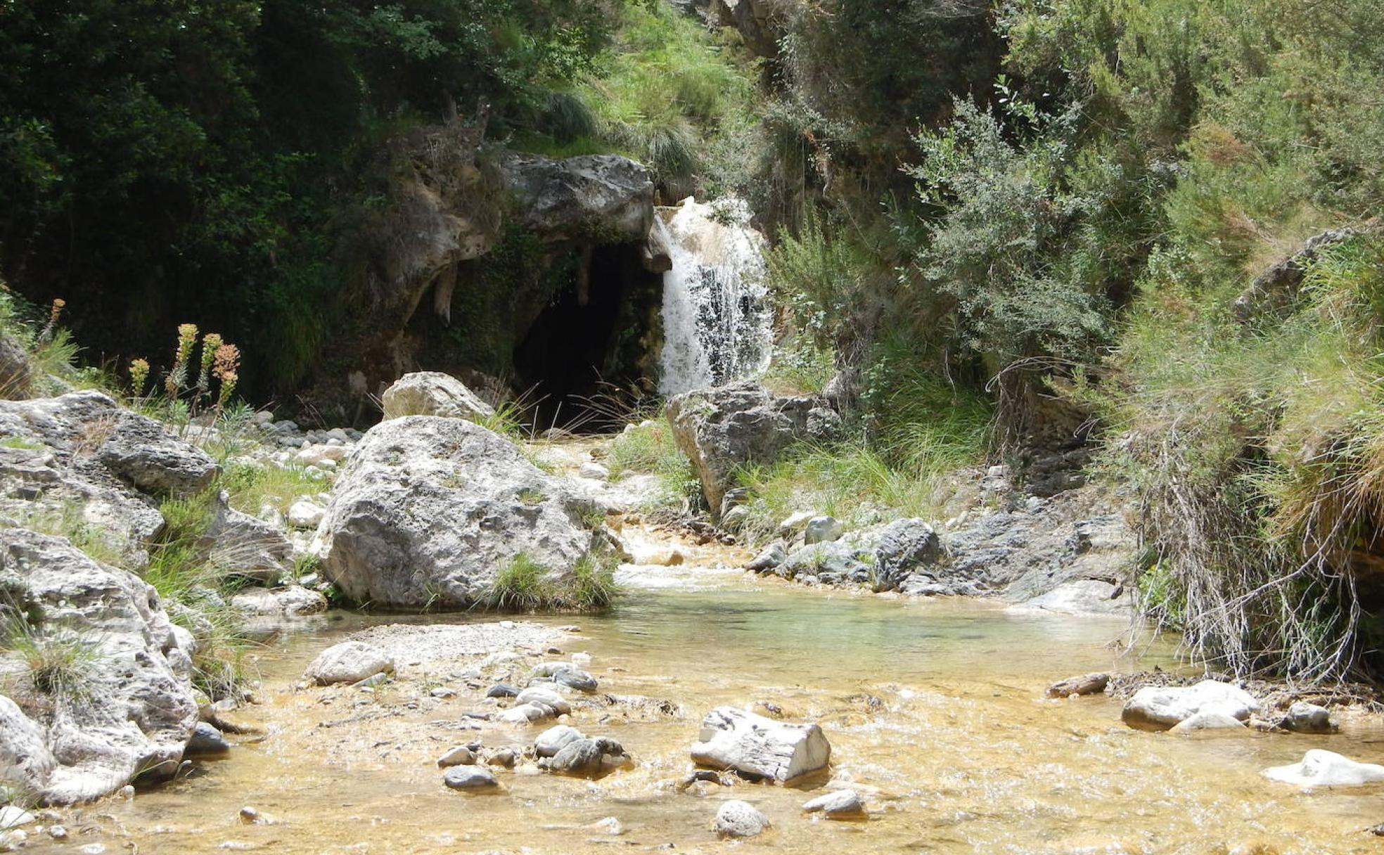 Río Cebollón.