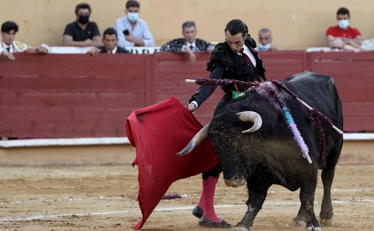 Finito de Córdoba, en una de las primeras corridas dentro de la nueva normalidad. 