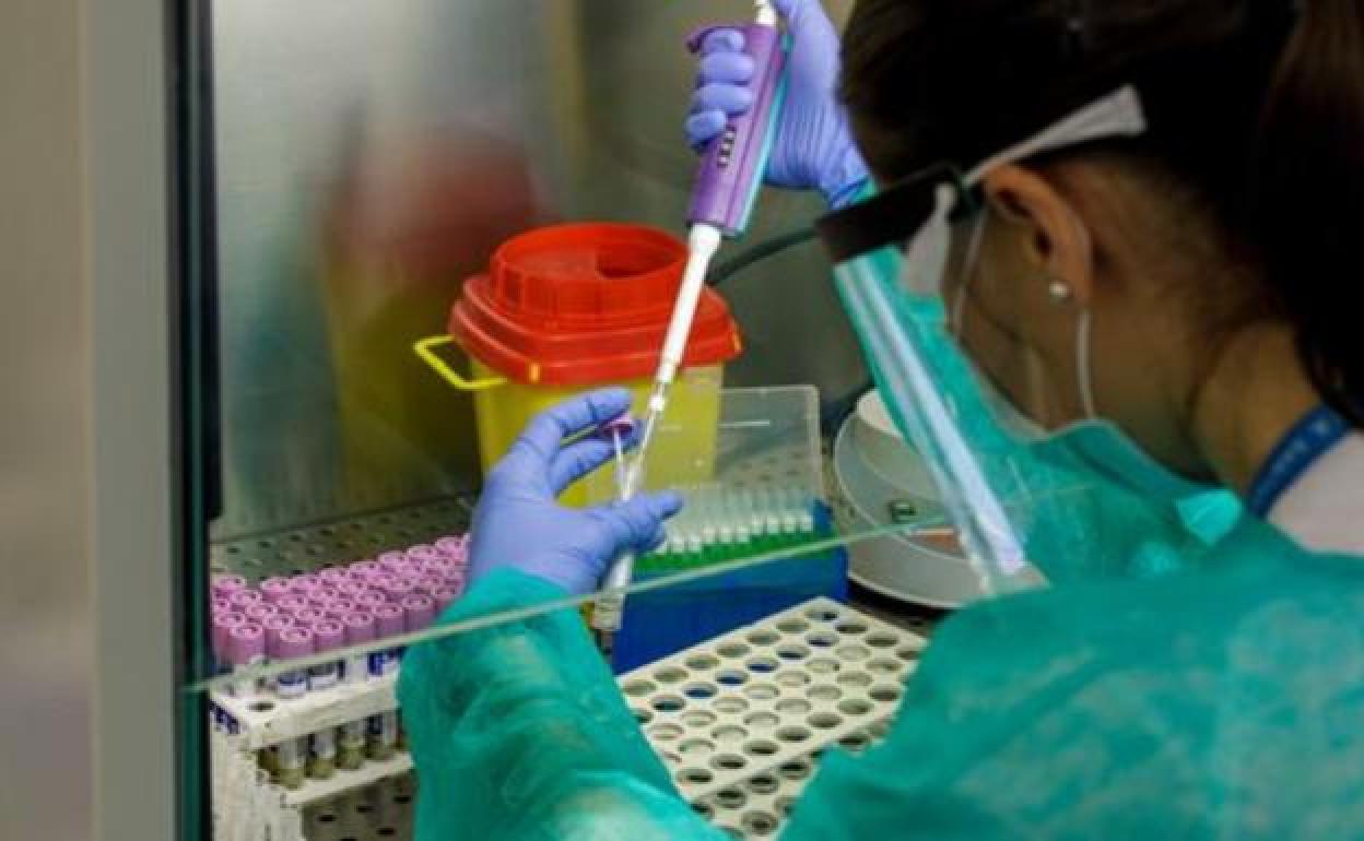 Málaga impulsa una investigación sobre alteraciones en el corazón en pacientes que han superado el COVID