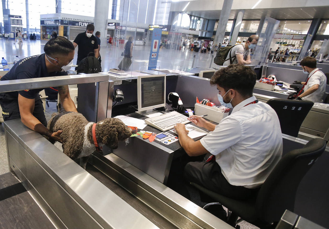 Tres efectivos del Consorcio de Bomberos de Málaga viajan Beirut junto a otros dos compañeros y cuatro perros entrenados para intervenir catástrofes.