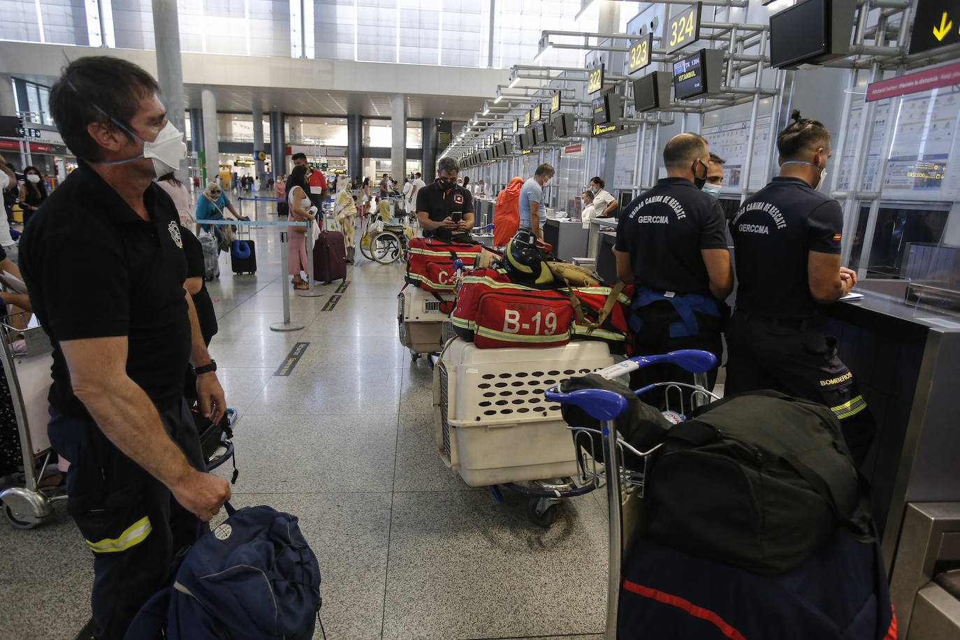Tres efectivos del Consorcio de Bomberos de Málaga viajan Beirut junto a otros dos compañeros y cuatro perros entrenados para intervenir catástrofes.