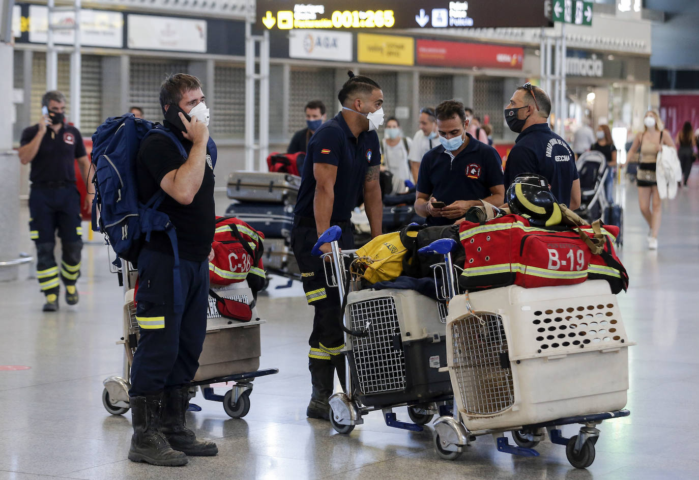 Tres efectivos del Consorcio de Bomberos de Málaga viajan Beirut junto a otros dos compañeros y cuatro perros entrenados para intervenir catástrofes.