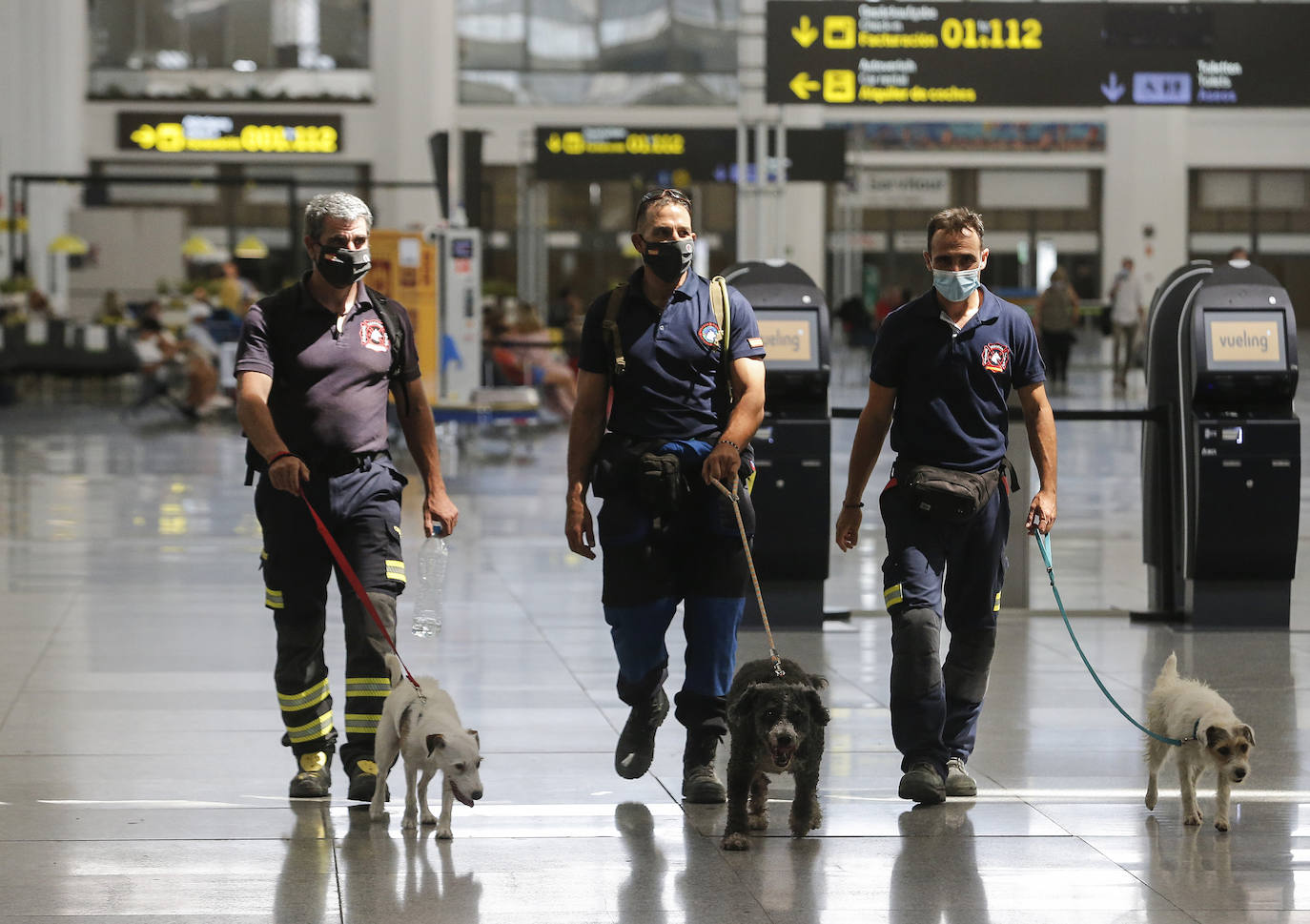 Tres efectivos del Consorcio de Bomberos de Málaga viajan Beirut junto a otros dos compañeros y cuatro perros entrenados para intervenir catástrofes.