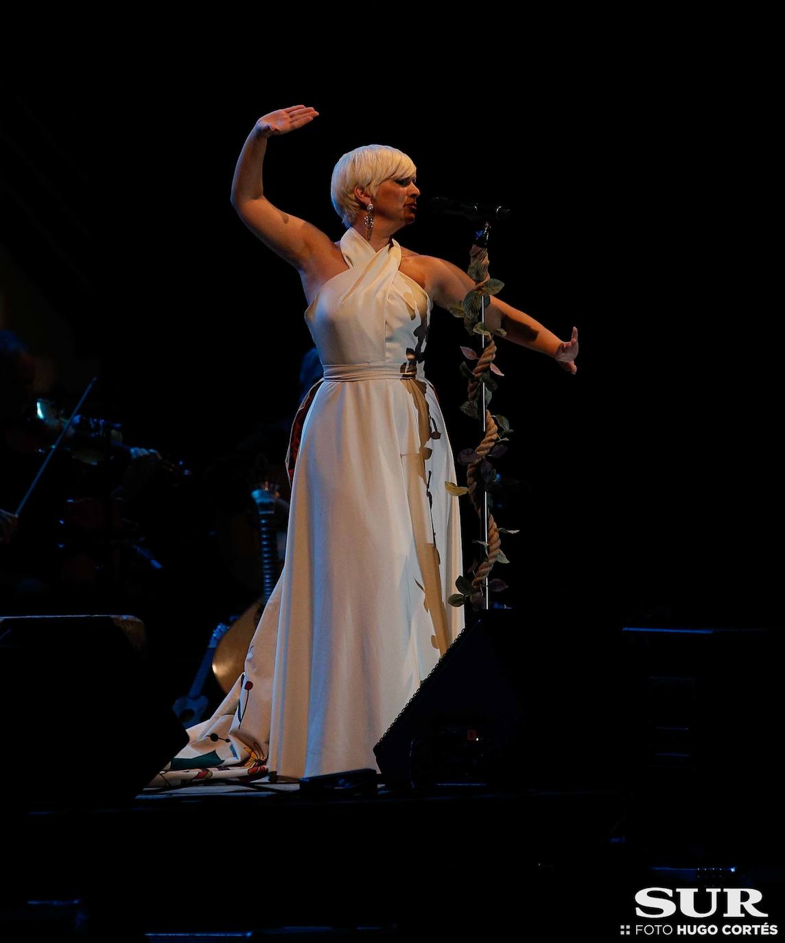 La artista reconocía estar feliz de su vuelta «al tablao después de lo que tenemos detrás»