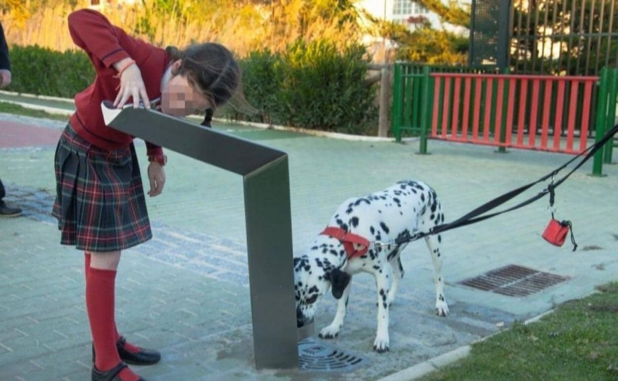 El modelo de fuente que se va a instalar en los barrios de Málaga. 