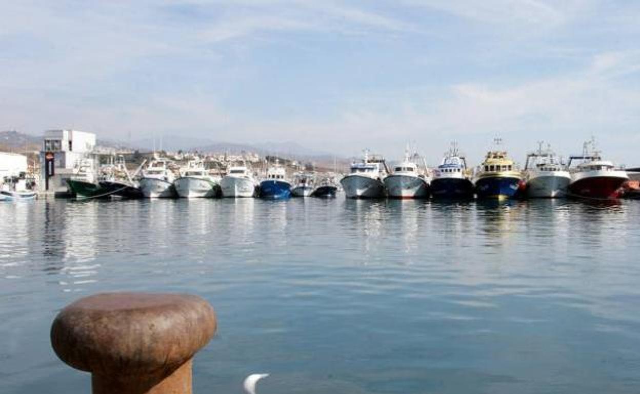 Imagen del puerto pesquero de Caleta de Vélez, con una flota de 81 barcos, la mayor de la provincia.