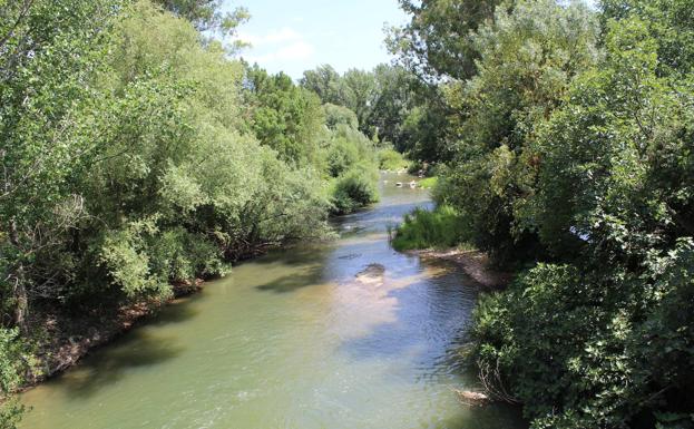 Río Guadiaro a su paso por Jimera de Líbar.