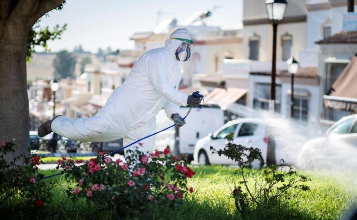 Comienzan a fumigar los municipios sevillanos afectados por el virus del Nilo tras provocar la hospitalización de 19 personas