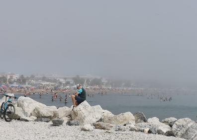 Imagen secundaria 1 - El taró cubre el litoral malagueño