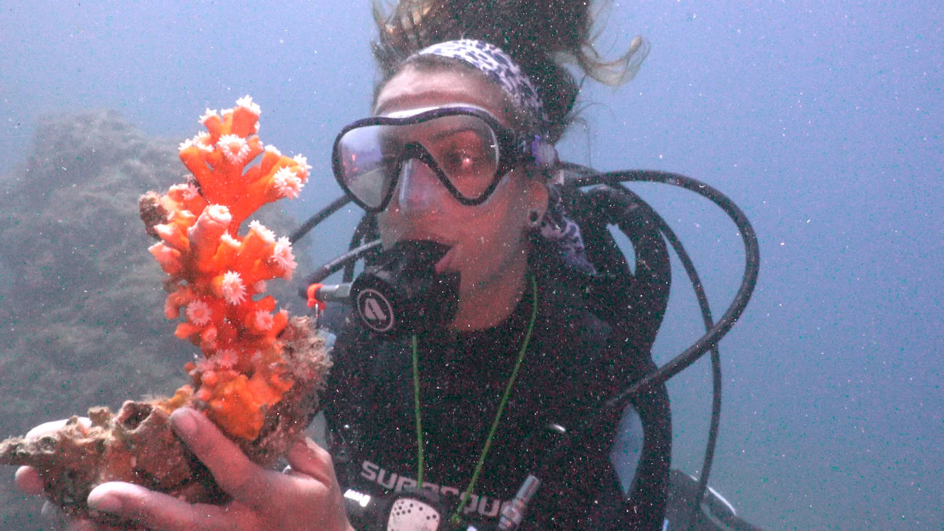 Fotos: Limpieza de los fondos marinos de Málaga para conservar los corales