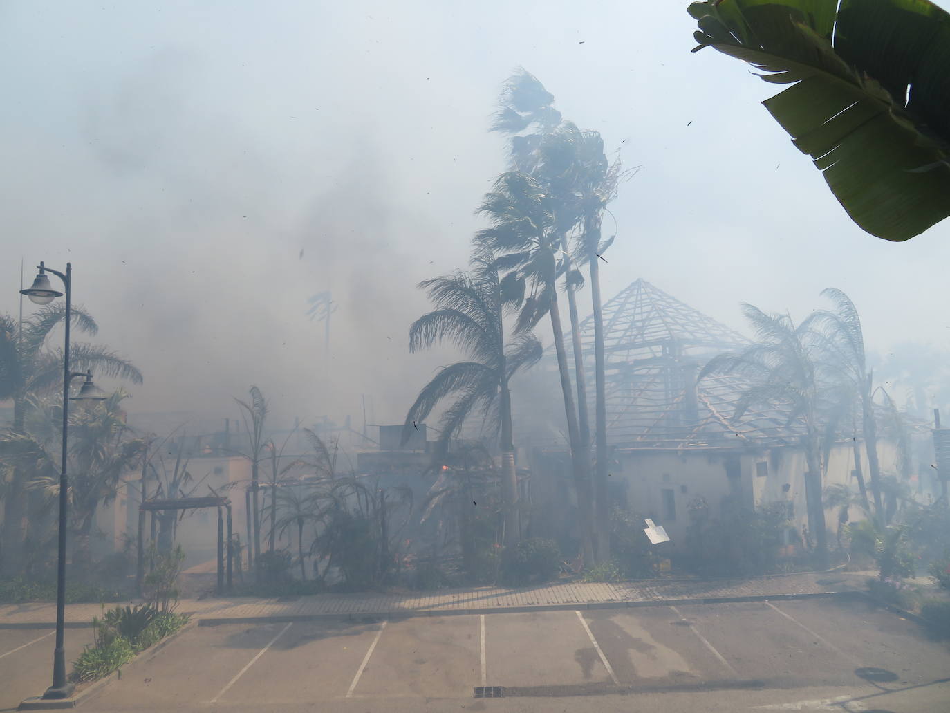 Efectivos del Plan Infoca y del Consorcio Provincial de Bomberos trabajan en la zona