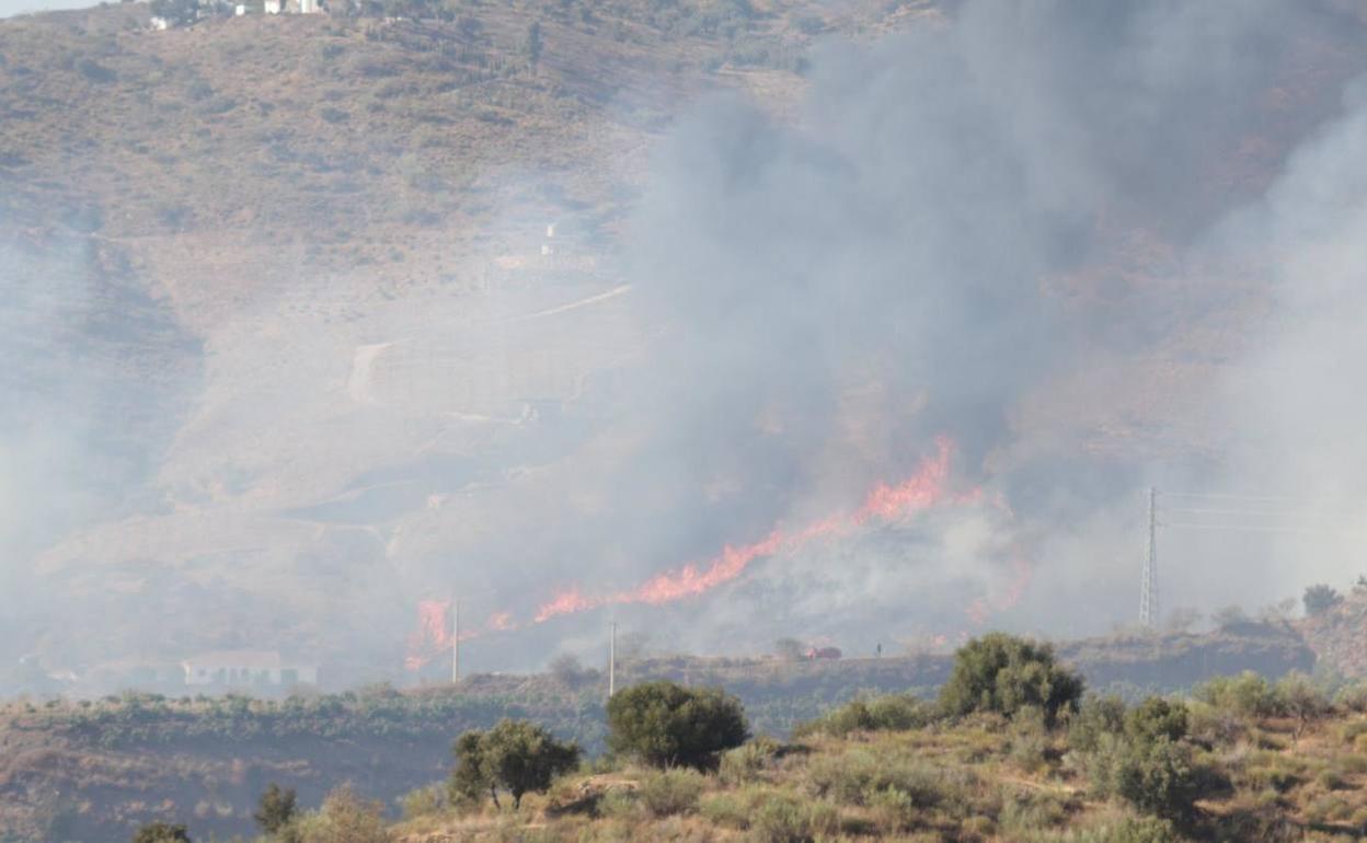 Estabilizado el incendio forestal en Moclinejo