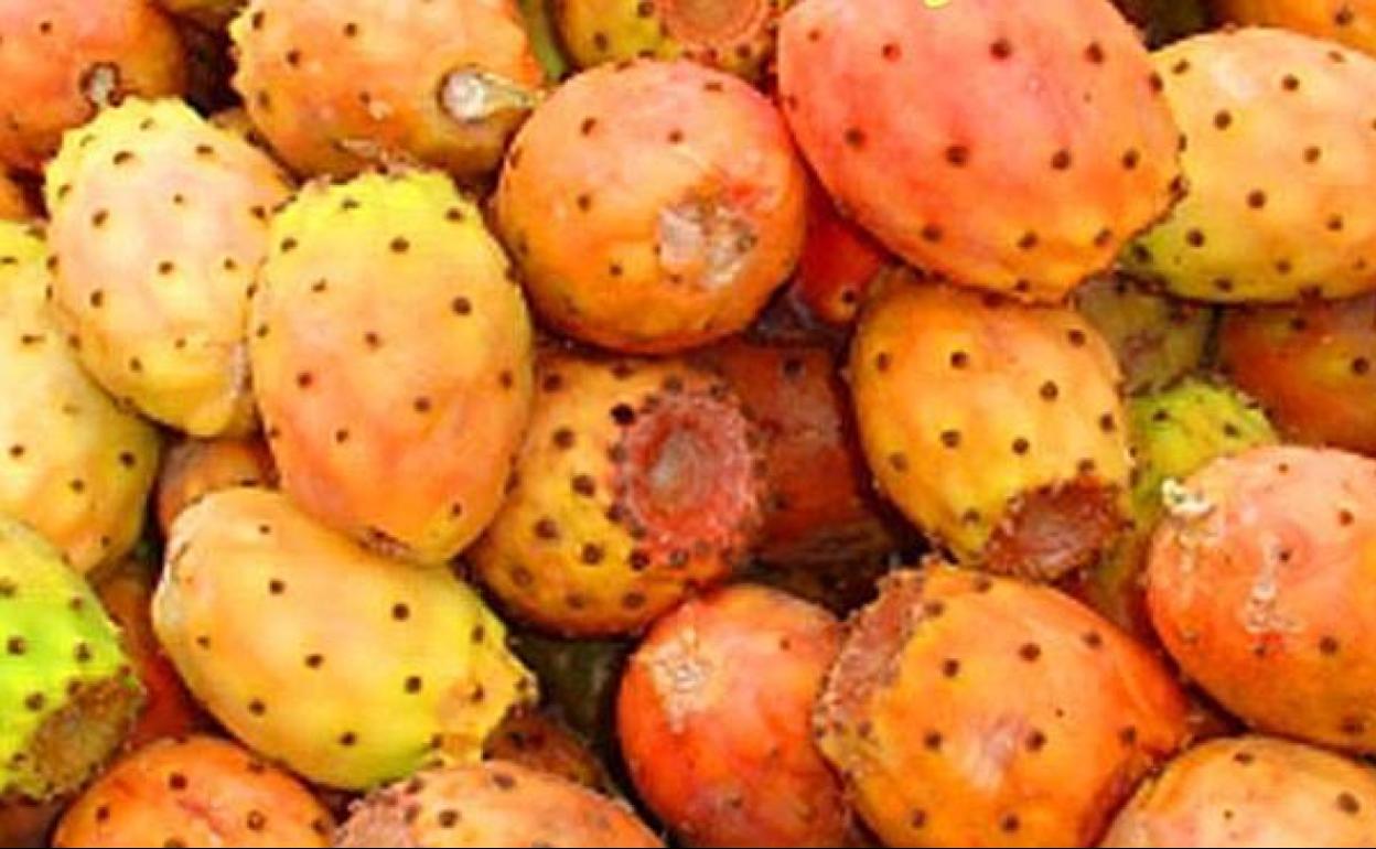 Chumbos