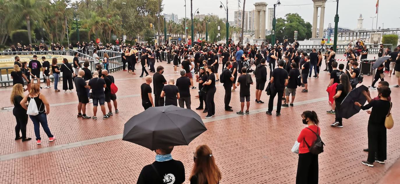La protesta transcurrió por el Centro de Málaga. 