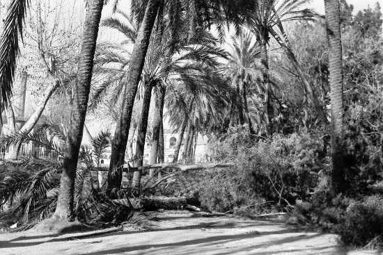 El Parque de Málaga quedó arrasado -en la imagen-, se hundieron barcos y quedaron en la miseria cerca de un millar de habitantes de las chabolas de El Bulto, San Andrés y Pedregalejo