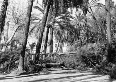 Imagen secundaria 1 - Destrozos en el muelle de Levante.Imagen del Parque de Málaga. Embarcaciones hundidas