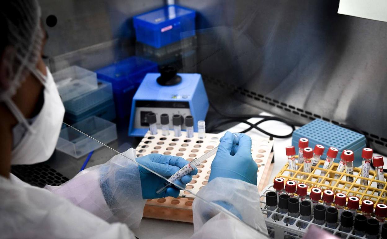 Andalucía suma 25 muertes por Covid y 1.389 casos confirmados en 24 horas, las mayores cifras de la segunda ola