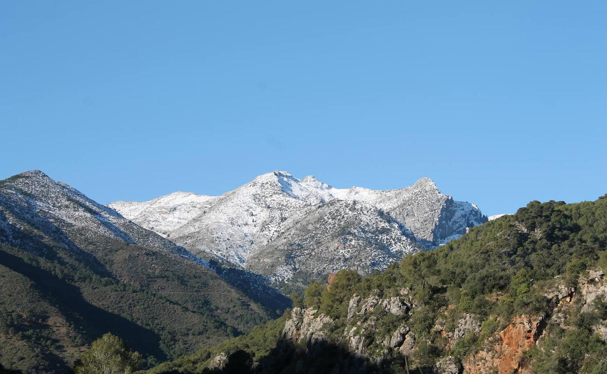 Desde el valle del río de los Horcajos se tiene una buena perspectiva de la Sierra de las Nieves