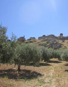 Imagen secundaria 2 - Arriba, puente de La Molina. Abajo, cauce del Turón a su paso por Ardales, y a la derecha, entre olivares se atisba la fortaleza del Turón.