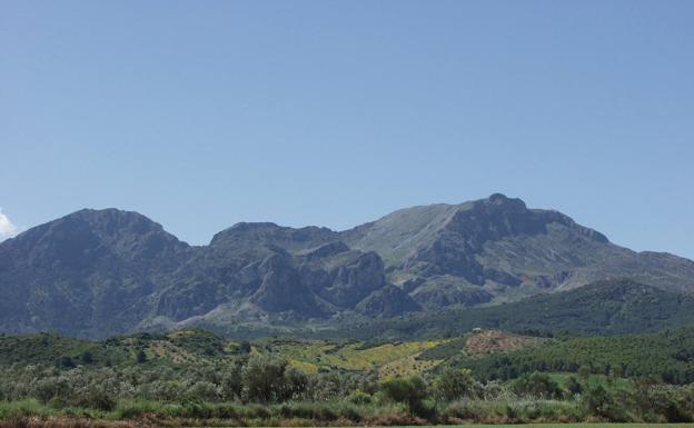 Imagen principal - Arriba, vista panorámica de la Sierra de las Nieves desde la ruta. Abajo, vista parcial del casco urbano de El Burgo, y a la derecha, puente Viejo en El Burgo