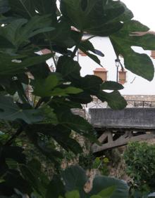 Imagen secundaria 2 - Arriba, vista panorámica de la Sierra de las Nieves desde la ruta. Abajo, vista parcial del casco urbano de El Burgo, y a la derecha, puente Viejo en El Burgo