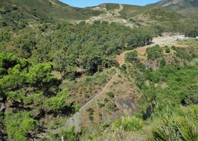 Imagen secundaria 1 - Arriba, hay vistas panorámicas a buena parte del término municipal de Benahavís. Abajo, por ese camino se asciende, en la última parte de la ruta, hasta el llano de la ermita, y a la derecha, a primera hora de la mañana, el camino se puede hacer por la sombra