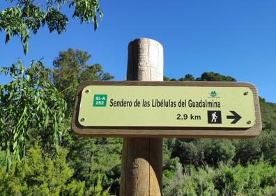 Imagen secundaria 1 - Arriba, en sus primeros metros, el recorrido se hace por carril ancho. Abajo, señalética oficial de la ruta, y a la derecha, buena parte del primer tramo está vallado.