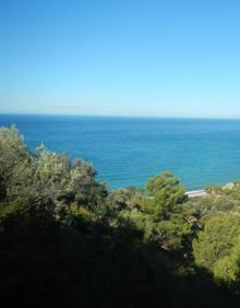 Imagen secundaria 2 - Arriba, cartel y señal que indican el camino a seguir. Abajo, sendero que conecta con el carril que baja hasta la playa del Cañuelo y a la derecha, vista panorámica de la playa del Cañuelo y la Torre del Pino.