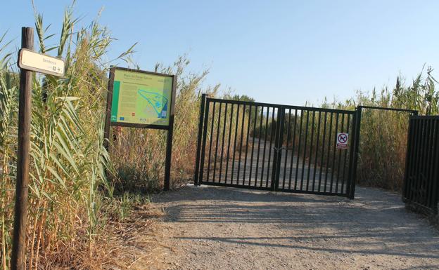 Imagen principal - Cancela situada antes de la encrucijada de caminos. Abajo, flamencos y tarros blancos en la Laguna Grande y focha común desde el observatorio de la Laguna Escondida.