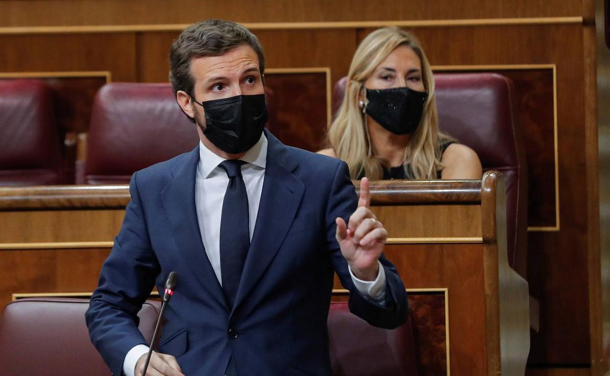 Pablo Casado, en el Congreso. 