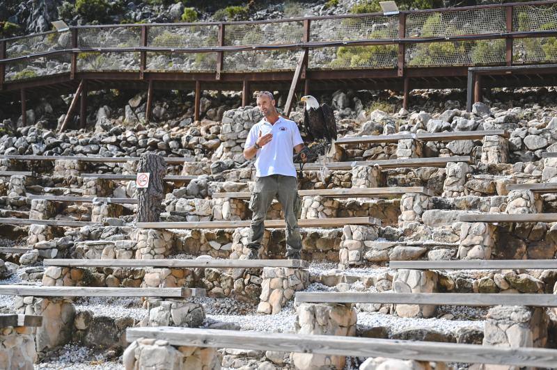 Este refugio acoge a casi 160 ejemplares de todo el mundo. 