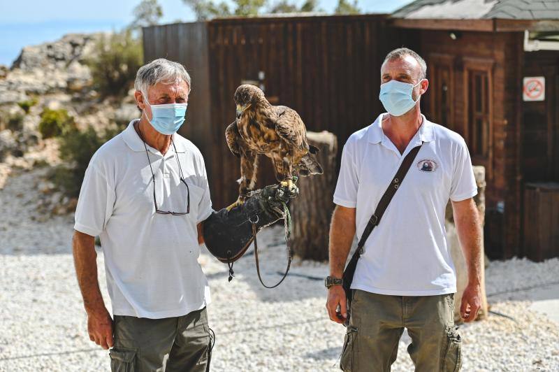 Este refugio acoge a casi 160 ejemplares de todo el mundo. 