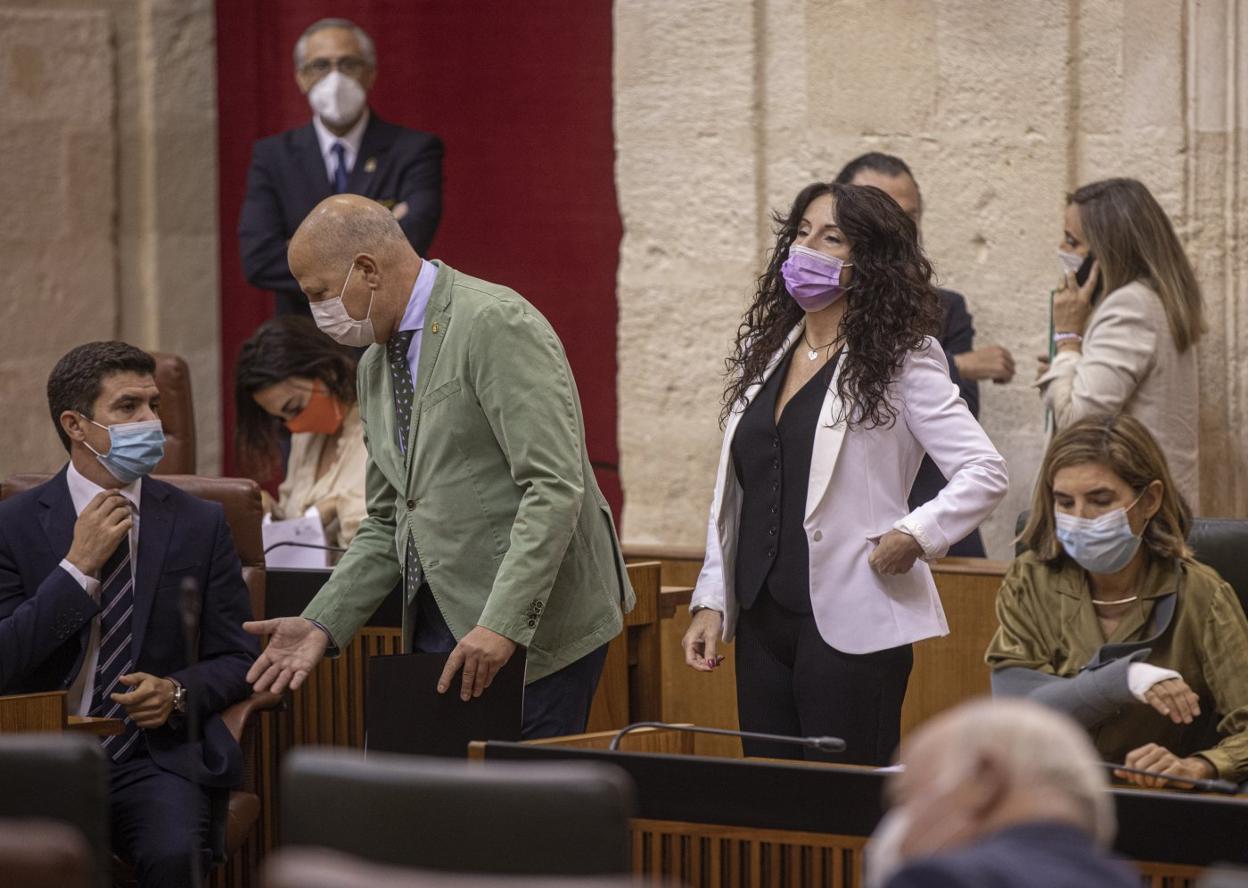 Diputados y consejeros de Cs, formación que planteó la iniciativa, ayer en el Parlamento andaluz. M. J. López. E. P.