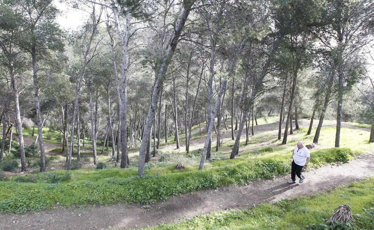 El acceso al monte Gibralfaro desde la calle Victoria contará con un nuevo paseo peatonal. 