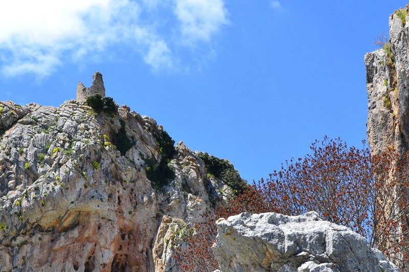 Sólo se conserva una atalaya de este Castillo de Lifa, que se encuentra en el viejo camino que une El Burgo con Ronda, atravesando parte de la comarca de la Sierra de las Nieves. Construído por la dinastía Nasrid, fue modificado tras la toma por Pedro I de Castilla, en 1362.