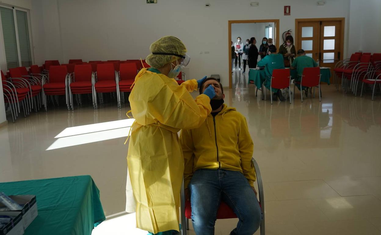 Cribados en el municipio malagueño de Teba, esta semana 