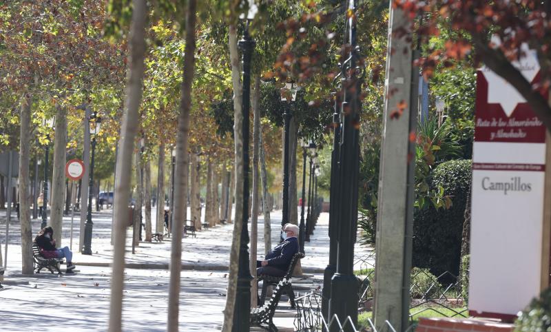 Campillos, Villanueva del Trabuco y Archidona se encuentran los municipios de Antequera, Alameda, Almargen, Cañete la Real, Cuevas Bajas, Cuevas de San Marcos, Fuente de Piedra, Humilladero, Mollina, Sierra de Yeguas, Teba, Valle de Abdalajís, Villanueva de Algaidas, Villanueva de la Concepción, Villanueva de Tapia y Villanueva del Rosario