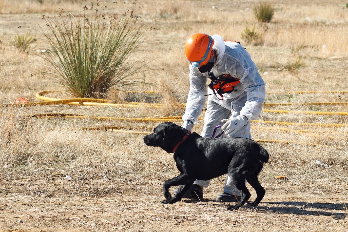 Han participado la Policía Local y Bomberos de Málaga, SUMMA, Cruz Roja y los alumnos del máster de Counseling e Intervención en Urgencias y Catástrofes 