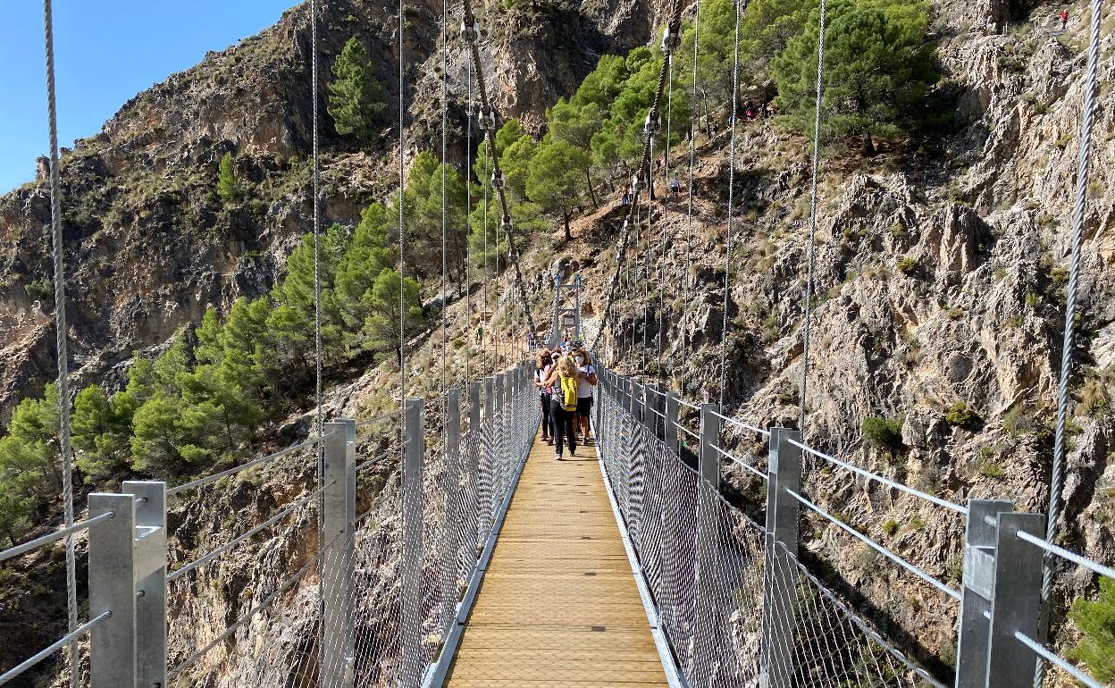 Imagen del puente colgante de Canillas de Aceituno. 