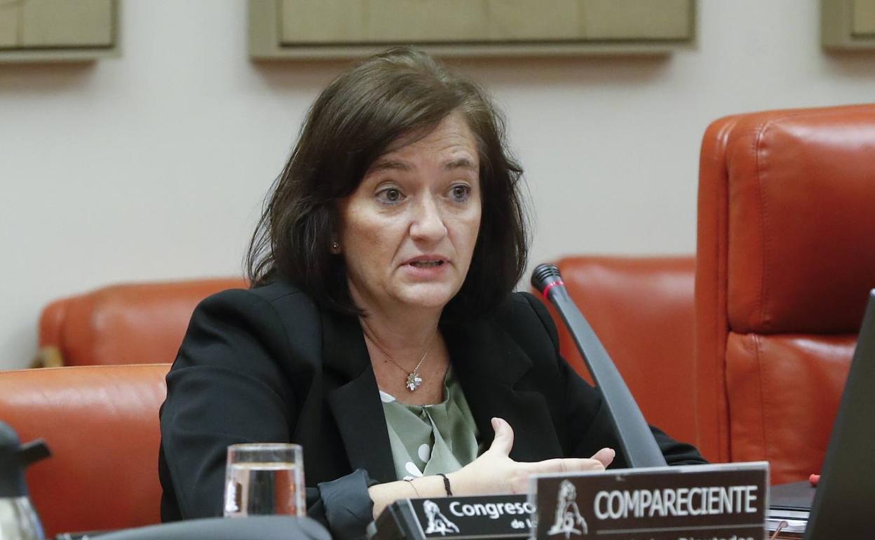 La autoridad fiscal cuestiona los presupuestos ante la evolución de la pandemia | diario sur