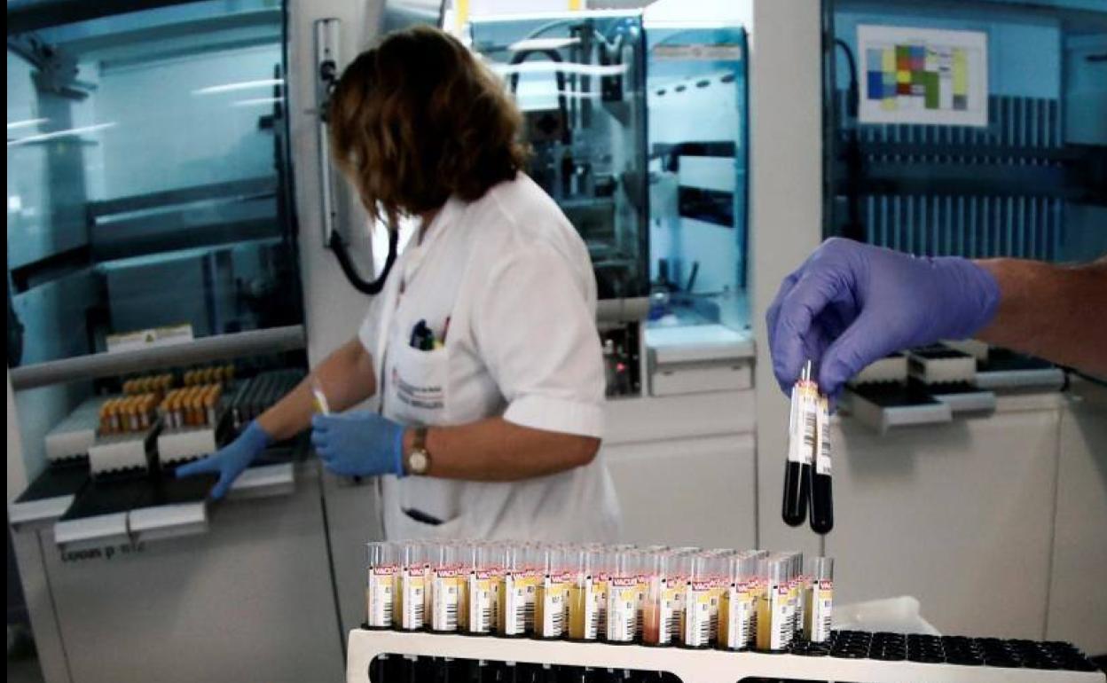 Técnicos de laboratorio del Complejo Hospitalario de Navarra procesan muestras serológicas para su posterior análisis.
